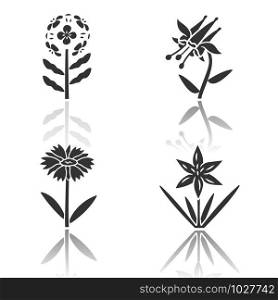 Wild flowers drop shadow black glyph icons set. Franciscan wallflower, crimson columbine, common star lily, blanket flower. Blooming wildflowers, weed. Field plants. Isolated vector illustrations