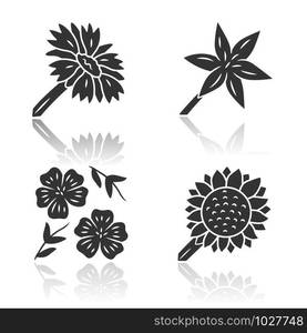 Wild flowers drop shadow black glyph icons set. Common star lily, blue flax, helianthus, blanket flower. Blooming wildflowers. Field, meadow herbaceous plants, weed. Isolated vector illustrations. Wild flowers drop shadow black glyph icons set. Common star lily, blue flax, helianthus, blanket flower. Calflora. Blooming wildflowers. Field, meadow herbaceous plants. Isolated vector illustrations