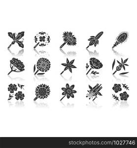Wild flowers drop shadow black glyph icons set. Spring blossom. California wildflowers. Garden blooming plants, weed. Botanical bundle. Meadow and field flowers. Isolated vector illustrations