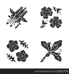 Wild flowers glyph icons set. Crimson columbine, linum, baby blue eyes, douglas iris. Blooming wildflowers, weed. Spring blossom. Field plants. Silhouette symbols. Vector isolated illustration
