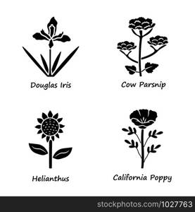 Wild flowers glyph icons set. Douglas iris, cow parsnip, helianthus, california poppy. Blooming wildflowers, weed. Field, meadow herbaceous plants. Silhouette symbols. Vector isolated illustration