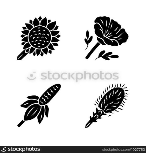 Wild flowers glyph icons set. Helianthus, California poppy, mexican hat, liatris. Blooming wildflowers, weed. Calflora. Spring blossom. Silhouette symbols. Vector isolated illustration