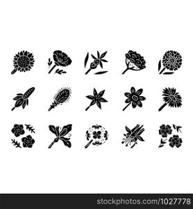 Wild flowers glyph icons set. Spring blossom. California wildflowers. Garden blooming plants. Botanical bundle. Meadow, field flowers, weed. Calflora. Silhouette symbols. Vector isolated illustration