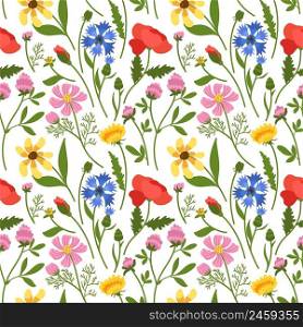 Wild flowers seamless pattern. Repeated meadow botany, beautiful floral texture, natural spring ornament, field plants isolated on white background. Decor textile, wrapping, wallpaper vector print. Wild flowers seamless pattern. Repeated meadow botany, beautiful floral texture, natural spring ornament, field plants isolated on white background. Decor textile, wrapping paper vector print