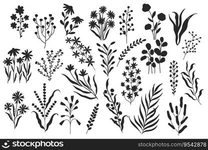 Wild flowers silhouette. Minimalistic floral botanical elements, nature blooming botany flowers monochrome brush drawings. Vector isolated set. Natural herbs and field plants with blossom. Wild flowers silhouette. Minimalistic floral botanical elements, nature blooming botany flowers monochrome brush drawings. Vector isolated set