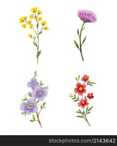 Wild flowers watercolor elements set.