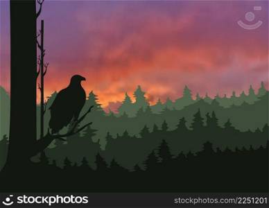 wild forest scene painting dark silhouette eagle sketch