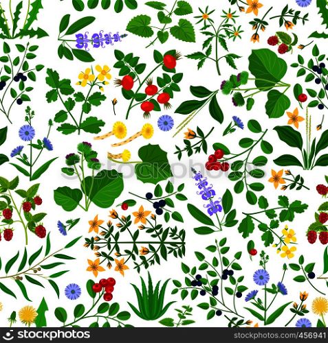 Wild herbs, flowers and berries seamless pattern. Hand drawn grass vector background. Wild herbs, flowers and berries pattern