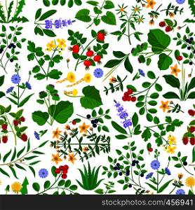 Wild herbs, flowers and berries seamless pattern. Hand drawn grass vector background. Wild herbs, flowers and berries pattern