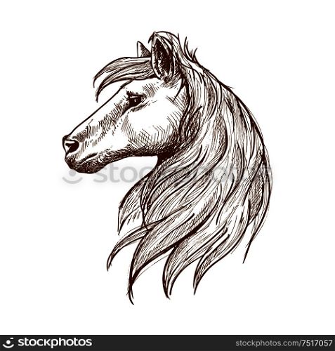 Wild horse head vintage engraving sketch symbol with profile of young stallion with long forelock and flowing curl of mane. Use as nature mascot or equestrian club symbol design. Wild horse head with flowing mane vintage sketch