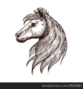 Wild horse head vintage engraving sketch symbol with profile of young stallion with long forelock and flowing curl of mane. Use as nature mascot or equestrian club symbol design. Wild horse head with flowing mane vintage sketch