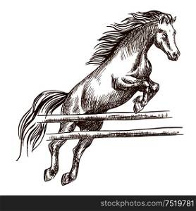 Wild horse jumping high and leaping over wooden barrier. Brown stallion overcoming fence. Vector thin line sketch. Wild horse jumping high over barrier
