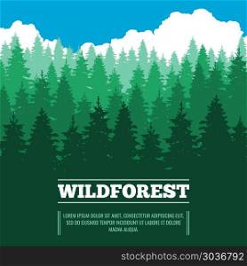 Wild landscape with fir trees coniferous forest vector illustration. Wild landscape with fir trees coniferous forest vector illustration. Wood nature with pine and green tree