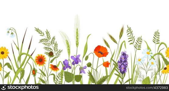 Wild meadow with flowers and herbs, spring botanical seamless border. Wildflower field with plants, ears and grass. Floral vector background. Illustration of spring meadow banner. Wild meadow with flowers and herbs, spring botanical seamless border. Wildflower field with plants, ears and grass. Floral vector background