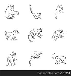 Wild monkey icon set. Outline set of 9 wild monkey vector icons for web isolated on white background. Wild monkey icon set, outline style