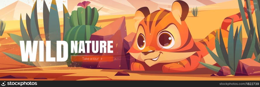 Wild nature cartoon web banner. Funny tiger cub hunting in African desert natural landscape. Baby predator life in deserted Africa with cacti and rocks, outdoor zoo park, save animals, vector concept. Wild nature cartoon web banner, tiger cub hunting