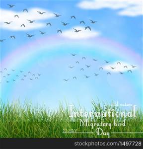 Wild nature with green grass and flying birds.Vector