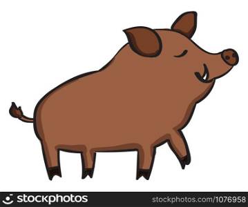 Wild pig, illustration, vector on white background.