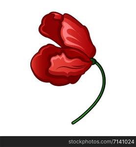 Wild poppy flower icon. Cartoon of wild poppy flower vector icon for web design isolated on white background. Wild poppy flower icon, cartoon style