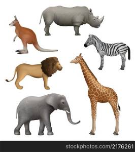 Wild realistic animals. Elephant kangaroo lion zebra rhinoceros african safari collection decent vector illustration. Zebra and lion, elephant and kangaroo. Wild realistic animals. Elephant kangaroo lion zebra rhinoceros african safari collection decent vector illustration