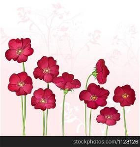 wild red flowers on a light background of natural