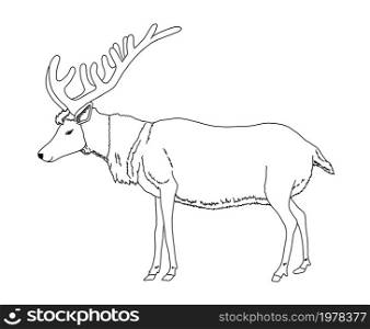 Wild reindeer outline. Animal coloring vector illustration.