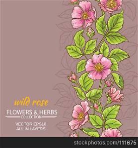 wild rose flowers background. wild rose flowers pattern on color background