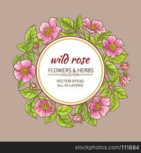 wild rose flowers frame. wild rose flowers frame on color background