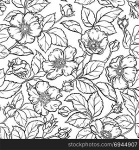 wild rose flowers seamless pattern. wild rose flowers seamless pattern on white background