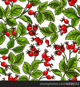 wild rose vector pattern on white background. wild rose vector pattern