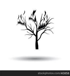 Wildfire icon. White background with shadow design. Vector illustration.