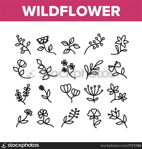 Wildflower Natural Collection Icons Set Vector. Wildflower Branch And Flower Bouquet, Blooming Nature Floral Botany Plant Concept Linear Pictograms. Monochrome Contour Illustrations. Wildflower Natural Collection Icons Set Vector