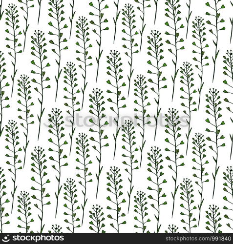 Wildflowers seamless pattern background. Vector print design. Nature background with wild flowers pattern. Capsella plant. Wildflowers seamless pattern background. Vector print design. Nature background with wild flowers pattern. Capsella plant.