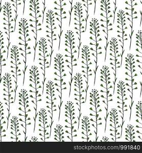 Wildflowers seamless pattern background. Vector print design. Nature background with wild flowers pattern. Capsella plant. Wildflowers seamless pattern background. Vector print design. Nature background with wild flowers pattern. Capsella plant.
