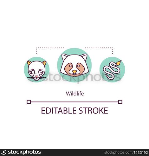 Wildlife concept icon. Raccoon in conservation. Carnivore feline. Countryside danger. Wild animals idea thin line illustration. Vector isolated outline RGB color drawing. Editable stroke. Wildlife concept icon
