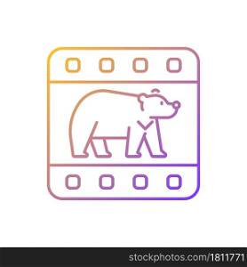 Wildlife documentary gradient linear vector icon. Educational television series about animals. Watch film. Thin line color symbol. Modern style pictogram. Vector isolated outline drawing. Wildlife documentary gradient linear vector icon