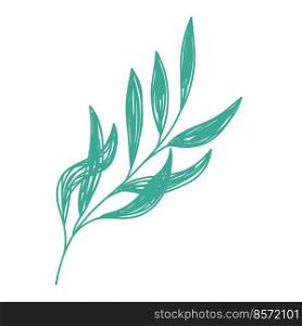 Willow branch. Green leaf sketch. Hand drawn vector illustration. Pen or marker doodle plant.. Willow branch. Green leaf sketch. Hand drawn vector illustration. Pen or marker doodle plant