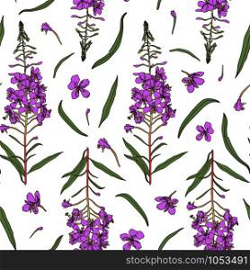 Willow herb seamless pattern. Hand drawn botanical vector illustration for packaging, textile print, wallpaper, wrapping paper.. Willow herb seamless pattern. Hand drawn botanical vector illustration.