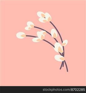  Willow twig isolated on a pink background. Easter willow.Flat vector illustration. Design for Easter, packaging..  Willow twig Easter willow. Design for Easter