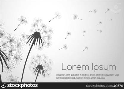 Wind blowing dandelions seeds. Wind blowing dandelions seeds for cards decor vector illustration