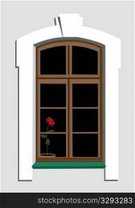 Window and red rose