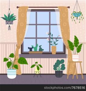 Window, light brown curtains with pattern, many potted plants, hanging flowers, cache-pot, cacti on windowsill. Home gardening. Striped pastel wallpaper. Gray floor. Cozy living room. Stay home. Many potted decorative plants, window with curtains, cozy living room. Flat vector illustration