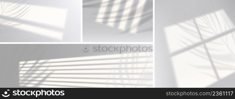 Window shadows with plant branches on wall, realistic light blinds. Overlay effect, jalousie shade on white background. Soft sunlight fall on room floor, graphic design mockup, 3d vector illustration. Window shadows with plant branches on wall, vector
