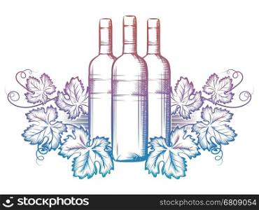 Wine bottle and grape leaves. Hand drawn wine bottle and grape leaves isolated on white background. Colorful winery banner design. Vector illustration