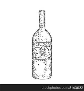wine bottle hand drawn vector. glass drink, red grape, alcoohol old menu, wineryy wine bottle sketch. isolated black illustration. wine bottle sketch hand drawn vector