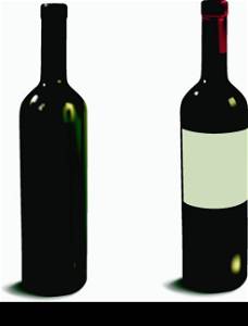wine bottle vector