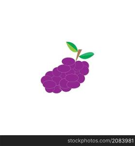 wine fruit design illustration icon logo templat