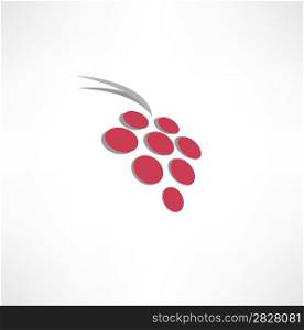 Wine Grape