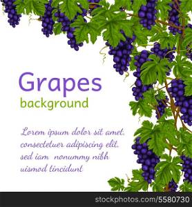 Wine grapes clusters with leaves decoration background wallpaper vector illustration