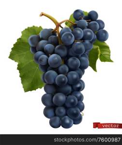 Wine grapes. Fresh fruit, 3d realistic vector